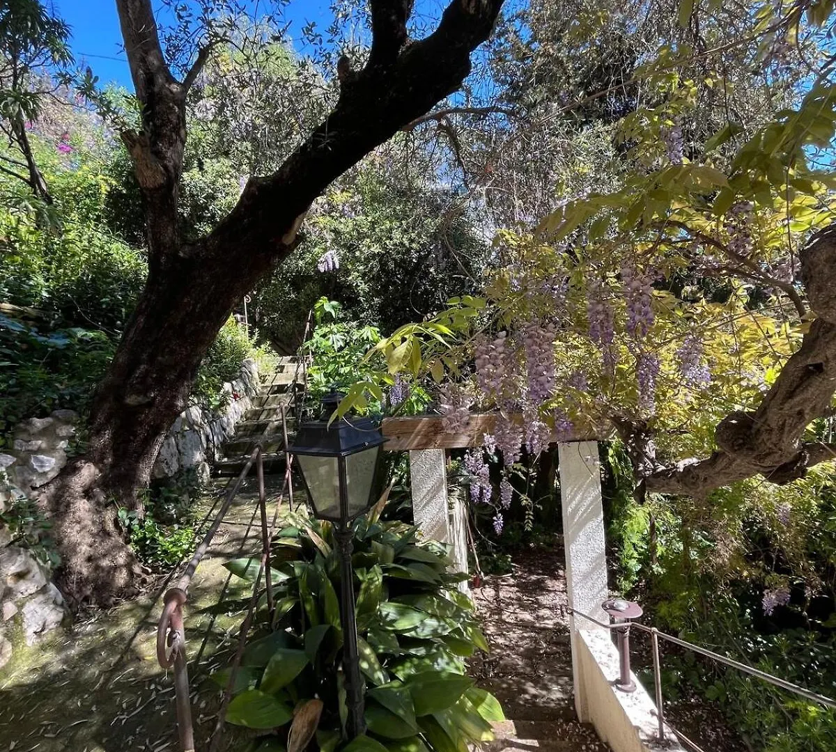 וילה הוילה ניס Seaside Jungle Retreat